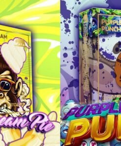Banana Cream Pie / Purple Cookie Punch SUMMER EDITION